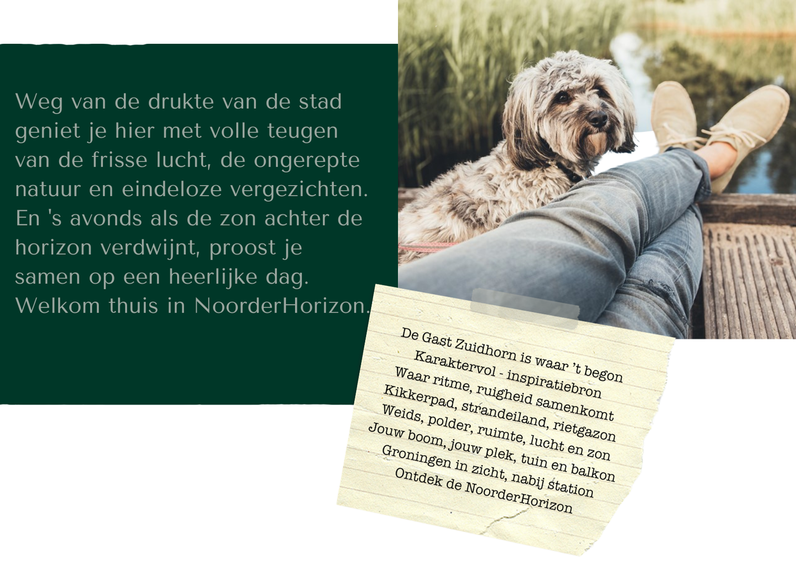 D5d11599 0Aa7 4B4d 8453 3Adb5ffa47e3 D5d11599 0Aa7 4B4d 8453 3Adb5ffa47e3