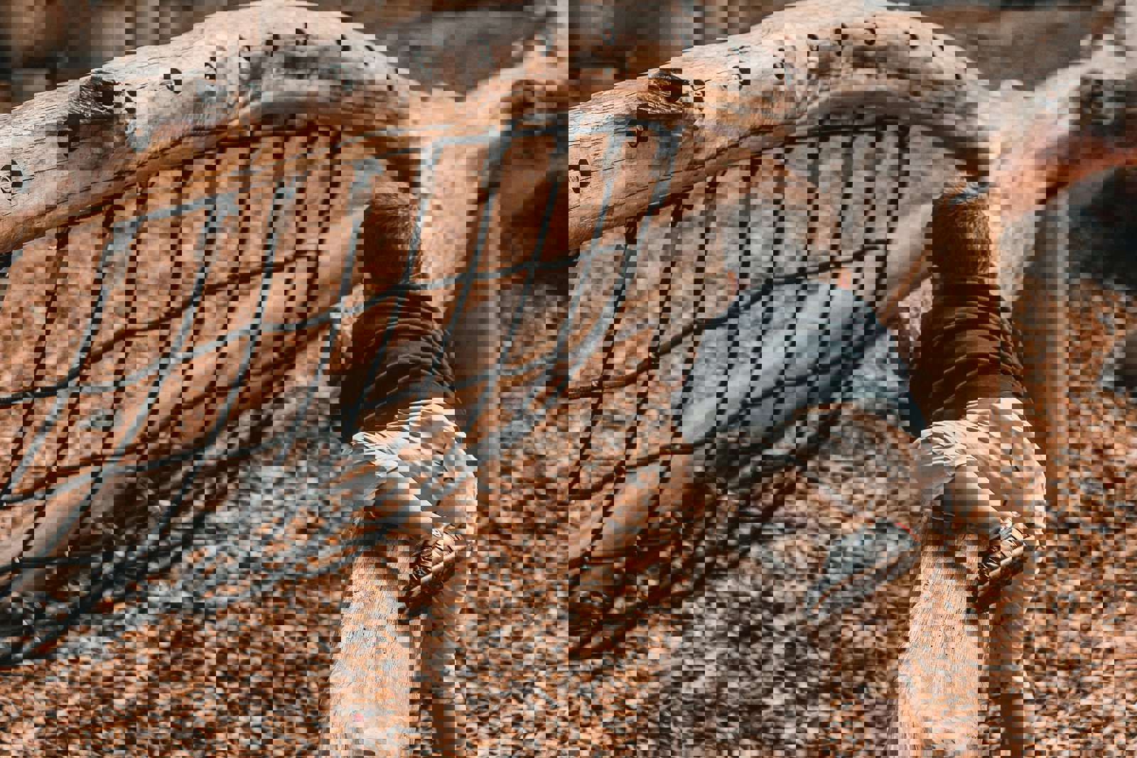 Rashid Sadykov Jupkydbr6q0 Unsplash Rashid Sadykov Jupkydbr6q0 Unsplash